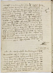 Vogelflugkodex, ca. 1505-06, Papiermanuskript, cc. 18, Blatt 9 verso